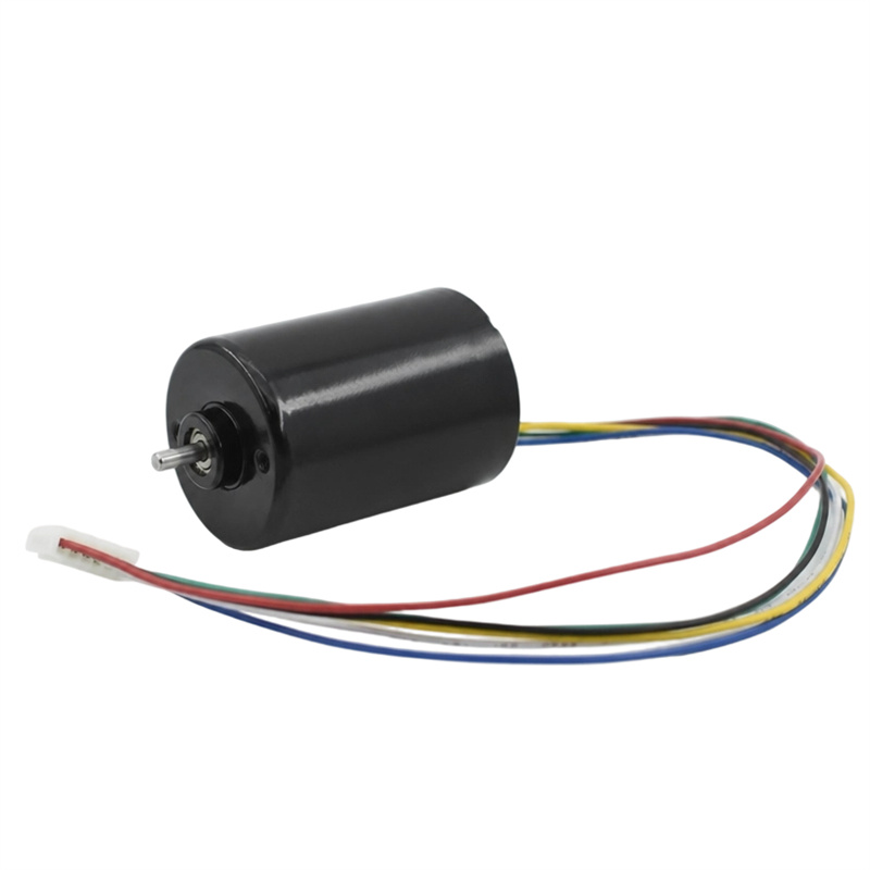 Motor DC Tanpa Berus 3650BL